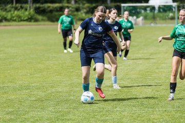 Bild 148 - F VfL Pinneberg - GW Eimsbuettel4 : Ergebnis: 9:0